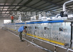 Surabaya Xinli machinery gas tunnel type food production line gas tunnel type ovenType 1000