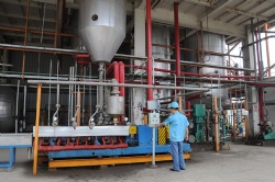 PPC PlantPPC Plant