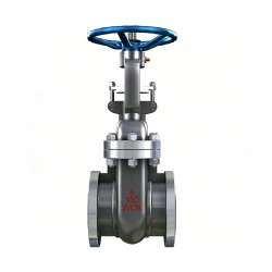 Stainless Steel Gate ValveStainless Steel Gate Valve