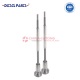 Diesel Fuel Injector Nozzles 0 433 172 593(0 433 172 593) - Putian Machinery Works Co.Ltd