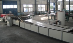 Mango and papaya warm water scald equipment and sorting machineMGWT