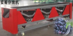 blueberry sorting machine6XS-1