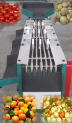 dates, Iraq jujube, cherry tomato, jujube sorting machineXGJ-XXHS