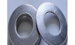 Tanged Metal Reinforced Graphite GasketSUNWELL 710